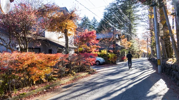 Nagano ile güzel bir renk, sonbahar sezonunun Karuizawa, Japonya — Stok fotoğraf