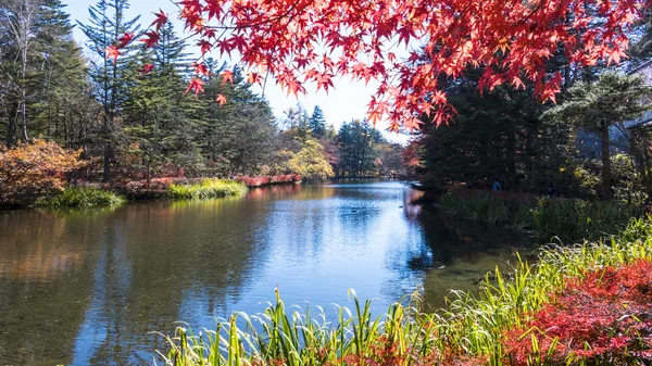 Nagano ile güzel bir renk, sonbahar sezonunun Karuizawa, Japonya — Stok fotoğraf