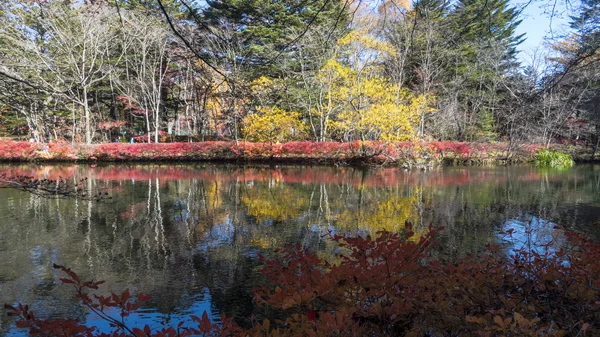 Nagano ile güzel bir renk, sonbahar sezonunun Karuizawa, Japonya — Stok fotoğraf