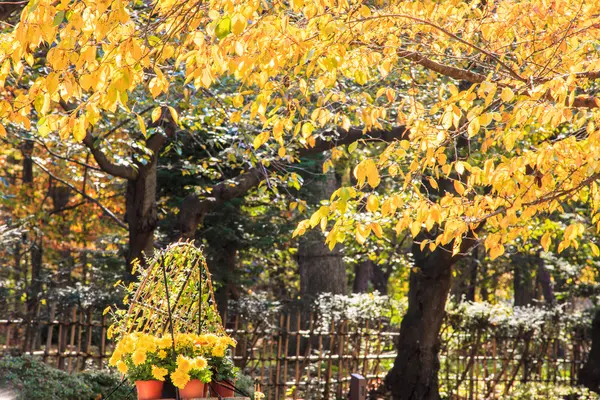 Krásné období v Hirosaki zámecký Park v Hirosaki, Aomori — Stock fotografie