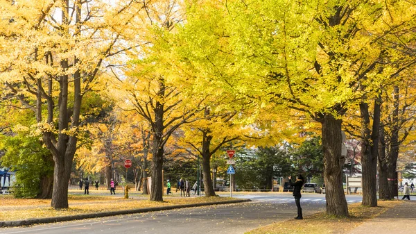 De val seizoen in het najaar Hokkaido Universiteit — Stockfoto