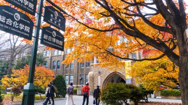 Hokkaido Üniversitesi sonbahar sonbahar sezonunda