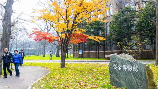 Hokkaido Üniversitesi sonbahar sonbahar sezonunda — Stok fotoğraf