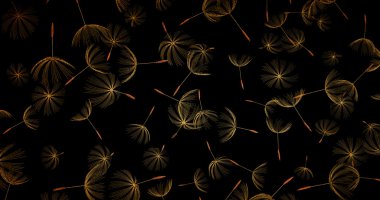 Dandelion doğal zemin üzerine closeup