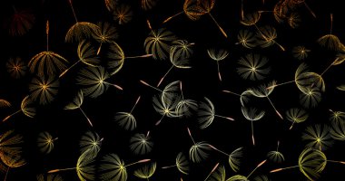 Dandelion doğal zemin üzerine closeup