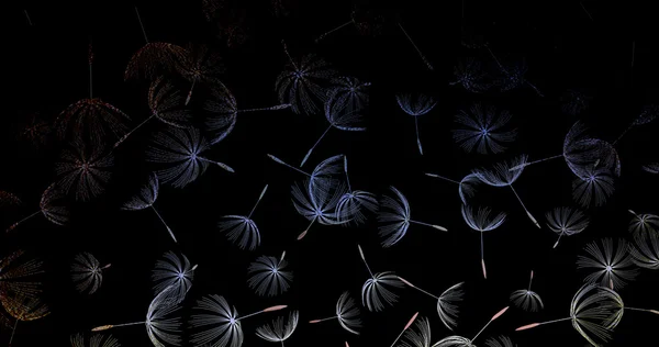 Closeup of dandelion on natural background — Stock Photo, Image