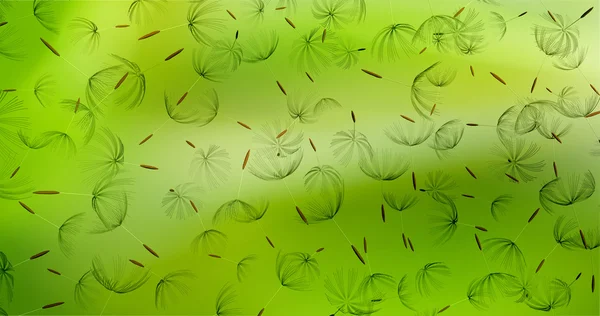 Closeup of dandelion on natural background — Stock Photo, Image