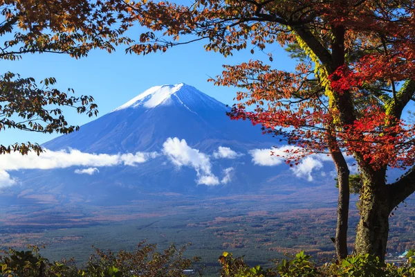 La saison automnale du Mt. Fuji au Japon avec une belle couleur jaune — Photo
