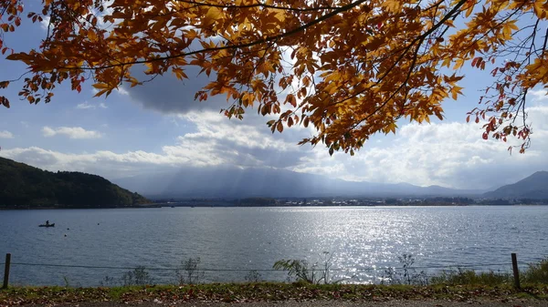 Kawaguchiko güzel sonbahar sahne ve arka plan, Japonya — Stok fotoğraf