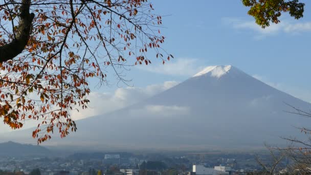 Beautiful of Mt. Fuji with fall colors in Japan — Stock Video