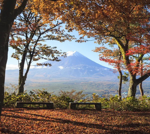 La saison automnale du Mt. Fuji au Japon avec une belle couleur jaune — Photo