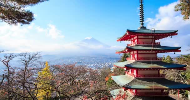 日本で紅葉を美しい富士山のとの時間の経過 — ストック動画