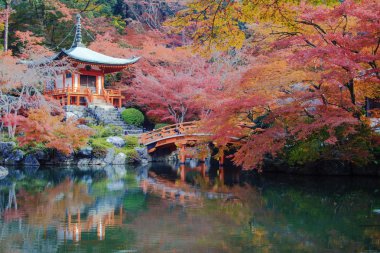 Recai-ji Tapınağı renkli akçaağaç Güz, Kyoto, Capa ile