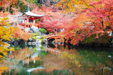 Recai-ji Tapınağı renkli akçaağaç Güz, Kyoto, Capa ile