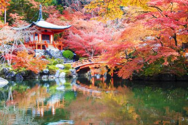 Recai-ji Tapınağı renkli akçaağaç Güz, Kyoto, Capa ile
