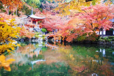 Recai-ji Tapınağı renkli akçaağaç Güz, Kyoto, Capa ile