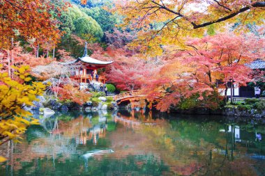 Recai-ji Tapınağı renkli akçaağaç Güz, Kyoto, Capa ile