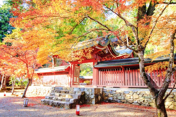 Kyoto, GIAPPONE - 16 novembre 2013: Un padiglione a Jingo-ji, Giappone. Jing. — Foto Stock