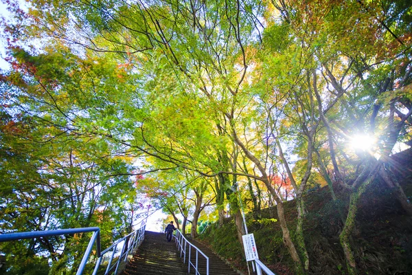 Kyoto, japan - 16. nov 2013: ein pavillon in jingo-ji, japan. Jein. — Stockfoto