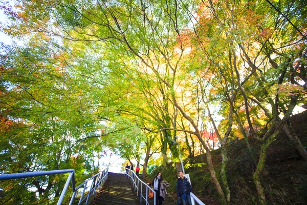 Kyoto, JAPÓN - 16 de noviembre de 2013: Un pabellón en Jingo-ji, Japón. Jing. —  Fotos de Stock