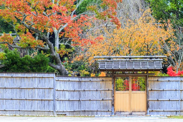Осенний сезон Нара с красивым кленовым цветом — стоковое фото