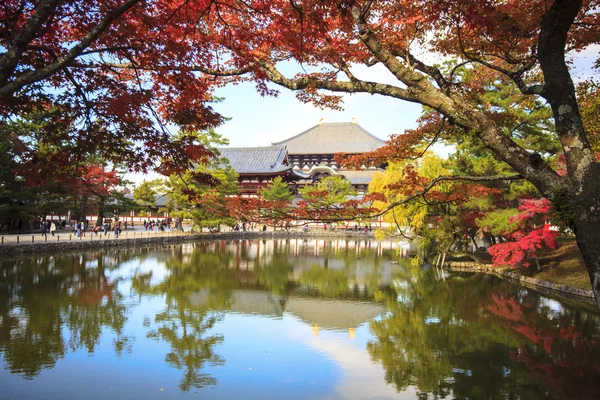 Nara sonbahar sezonunun güzel akçaağaç rengi ile — Stok fotoğraf