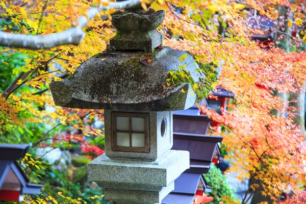 Höst färger i Japan, vackra höstlöv — Stockfoto