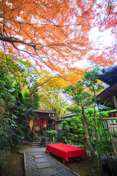 Couleurs d'automne au Japon, Belles feuilles d'automne — Photo