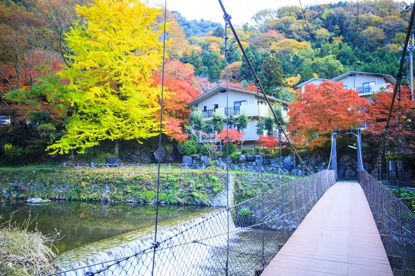 Japonya'da sonbahar renk, güzel sonbahar yaprakları — Stok fotoğraf