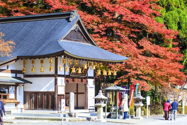 Japonya'da sonbahar renk, güzel sonbahar yaprakları — Stok fotoğraf