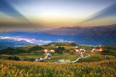 Hualien, Tayvan ulaşan daylily çiçekler