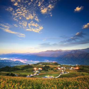Hualien, Tayvan ulaşan daylily çiçekler