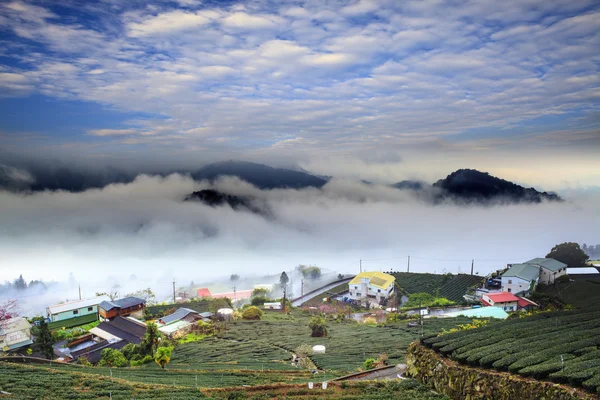 Alishan, Jiayì (xiàn), Taiwan: zonsondergang wolken — Stockfoto