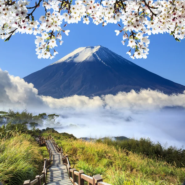 Imagens de bela paisagem com boa cor da natureza — Fotografia de Stock