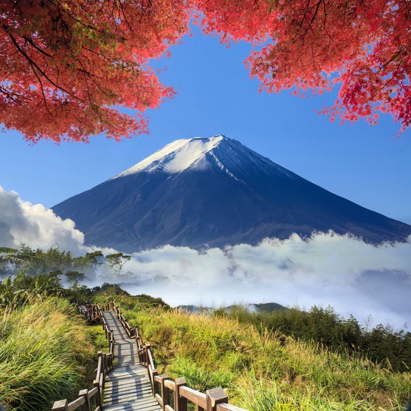 Imagens de bela paisagem com boa cor da natureza — Fotografia de Stock