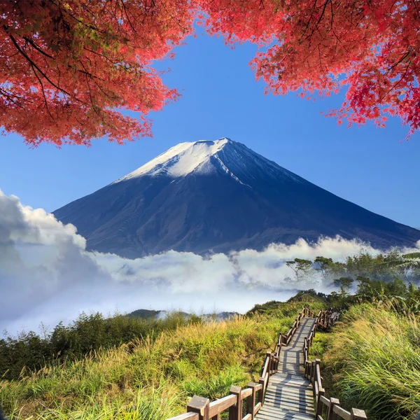 Imaaging van het prachtige landschap met mooie natuur kleur — Stockfoto