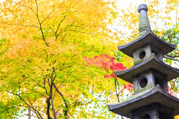 Prachtige esdoorn seizoen met mooie kleur, Japan — Stockfoto