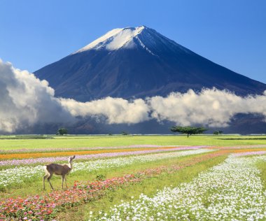 güzel manzara güzel doğa renkle görüntüleme