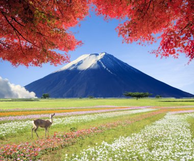 güzel manzara güzel doğa renkle görüntüleme