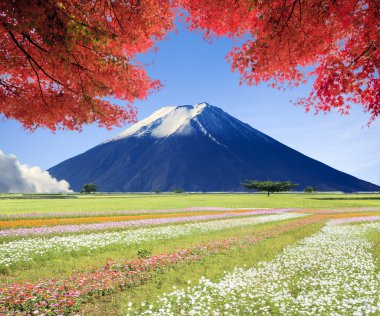 güzel manzara güzel doğa renkle görüntüleme