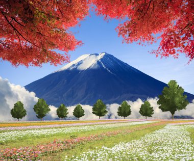 güzel manzara güzel doğa renkle görüntüleme