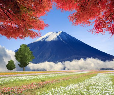 güzel manzara güzel doğa renkle görüntüleme