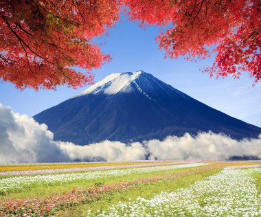 güzel manzara güzel doğa renkle görüntüleme