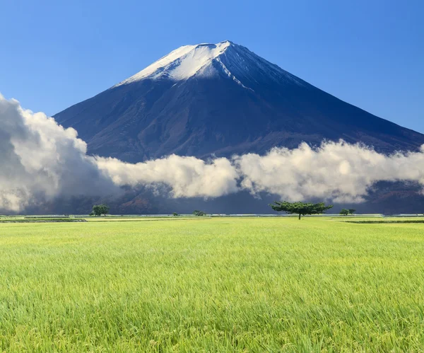 Imaging of beautiful landscape with nice nature color — Stock Photo, Image