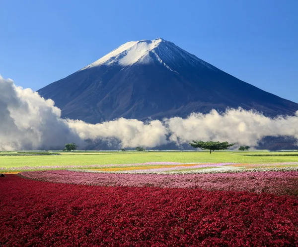 Beeldvorming van het prachtige landschap met mooie natuur kleur — Stockfoto