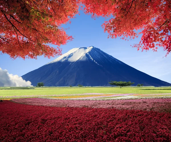 Gyönyörű táj, szép természet színes képalkotó — Stock Fotó