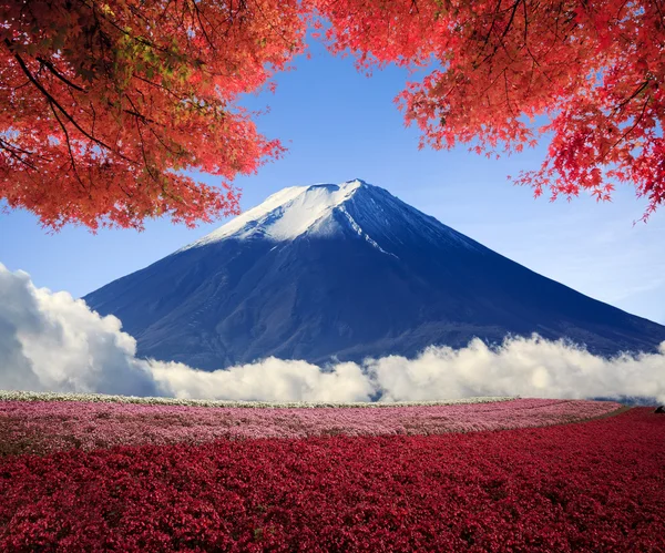 Gyönyörű táj, szép természet színes képalkotó — Stock Fotó