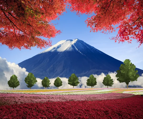 Beeldvorming van het prachtige landschap met mooie natuur kleur — Stockfoto
