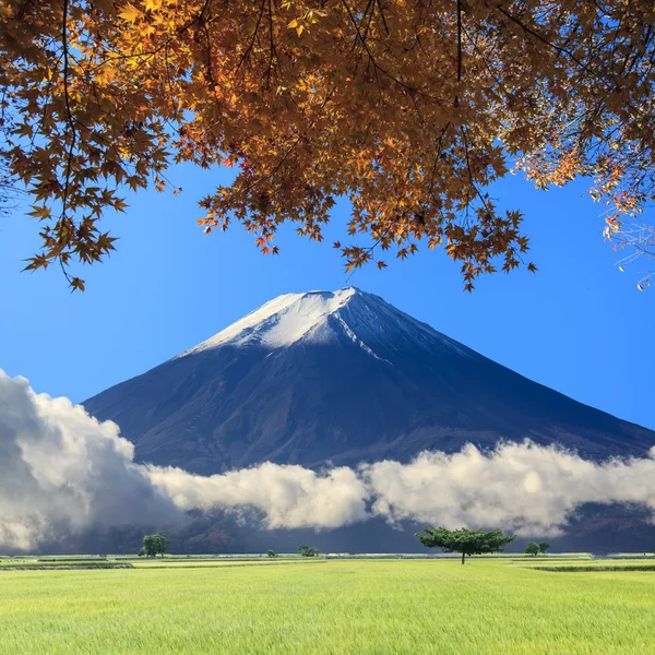 Schöne Landschaft mit schöner Hintergrundfarbe — Stockfoto