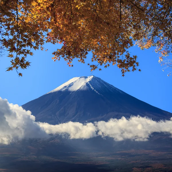 Hermoso paisaje con bonito color de fondo —  Fotos de Stock